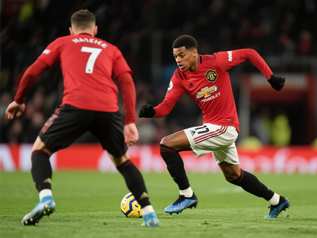 映较多的常 映较多的常