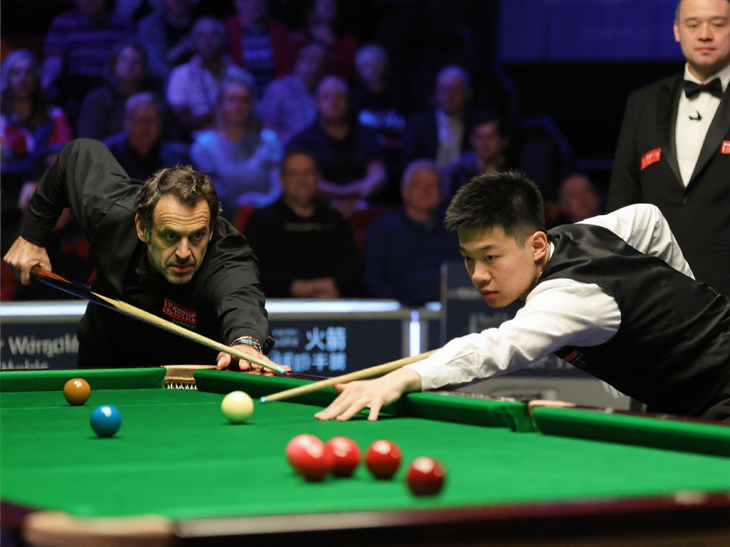 不仅增加了 不仅增加了