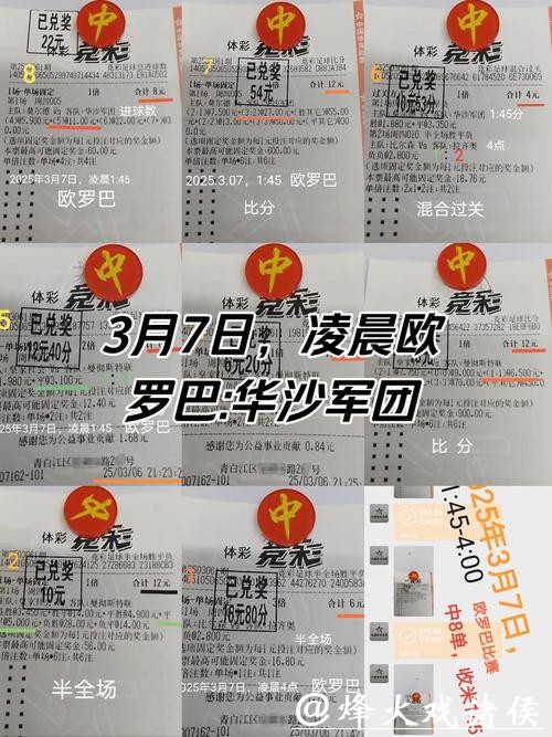 世界杯下注：狂热球迷的投注情怀